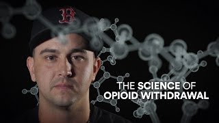 The science of opioid withdrawal [upl. by Huber879]