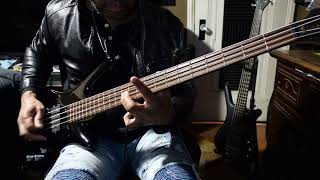 TOOL  Forty Six amp 2 Bass Cover [upl. by Pablo]