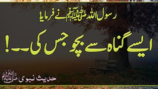 Donya ka sab se bara Gunah  Hades  Gunah  Nabi kareem ki pyari hades  Hadees Sharif  Hadith [upl. by Xever]