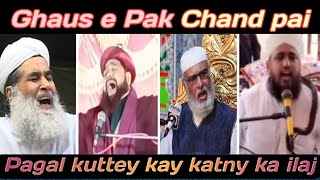 pagal kutty kay katny ka ilaj by ilyas qadri  funny ilyas qadri  funny molvi  Funny molana speech [upl. by Alinna]