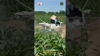 Pesticide Spraying Machine [upl. by Esorlatsyrc]