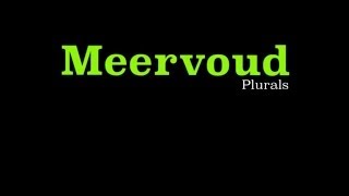 Afrikaans  Meervoude Plurals  Part 1 of 2 [upl. by Weatherley]