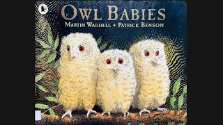 Owl Babies by Martin Waddell and Patrick Benson  Read Aloud  Bedtime Story for Kids Children [upl. by Battat]