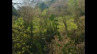 PARIS DES BUTTES CHAUMONT A LA VILLETTE musique  Moulin rouge [upl. by Nav]