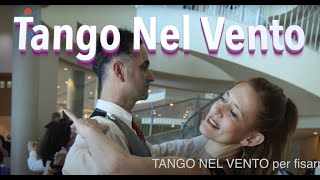 TANGO NEL VENTO Magia della Fisarmonica e Orchestra in Sala da Ballo [upl. by Ynattib954]