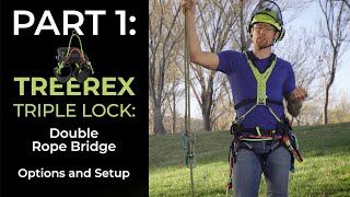 EDELRID TREEREX TRIPLE LOCK  The versatile TreeClimbing harness for Arborist [upl. by Ocsinarf]