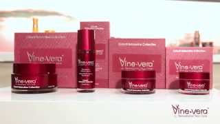 How to Use the Vine Vera Chianti Collection [upl. by Isabea]