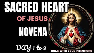 NOVENA TO THE SACRED HEART OF JESUS DAY 1 to 9  Novena for Feast of the Sacred Heart of Jesus 2024 [upl. by Towers]