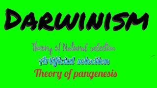 Darwinism  Theories of evolution Theory of pangenesis Artificial selection Natural selection [upl. by Dugaid132]