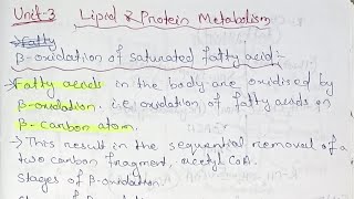 Lipid and Protein Metabolism Unit 3 Semester 4 paper 10 bsczoology biochemistry [upl. by Ateekan]