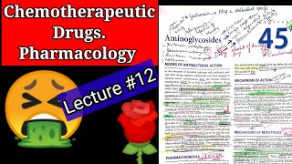 Chemotherapeutic drugs pharmacology lecture12 chapter 45 AMINOGLYCOSIDES [upl. by Eluj]