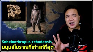 มนุษย์โบราณที่เก่าแก่ที่สุด 7 ล้านปีก่อน Sahelanthropus tchadensis Toumai [upl. by Acinnej]