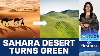 Sahara Turns Green Should we Celebrate or Worry  Vantage with Palki Sharma [upl. by Joung]