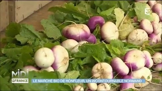 Le marché bio de Honfleur un incontournable normand [upl. by Akienaj]