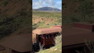 W934 at Woolshed Flat steamtrain steamlocomotive steamrailway [upl. by Areid]