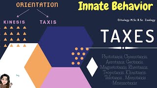 Taxis Orientation Types of Taxes TropotaxisKlinotaxisTelotaxis Menotaxis Mnemotaxis Innate B [upl. by Anyl218]