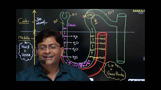 counter current mechanism by md sir human excratery system [upl. by Dawkins]