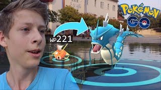 WP 221 Karpador 90 IV entwickeln zu Garados • Pokemon Go deutsch [upl. by Einnor]