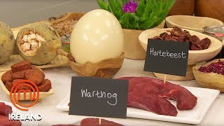 Indian Curry Taste Testing for the Finale  MasterChef New Zealand  MasterChef World [upl. by Hernardo738]