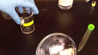 How to a capillary tube with a TLC plate [upl. by Sirtimid]