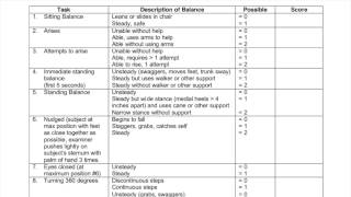 Functional Exam  Tinetti Performance Oriented Mobility Assessment [upl. by Eugenle]