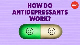 How do antidepressants work  Neil R Jeyasingam [upl. by Daphne]