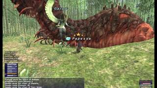 FFXI Onychophora SMN solo with trusts [upl. by Barthol131]