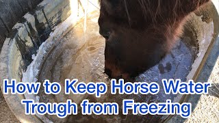 HOW TO KEEP YOUR HORSE WATER TROUGH FROM FREEZING [upl. by Ahsiaa689]