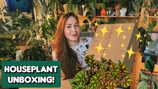 ✨️🌿FUN HOUSEPLANTS UNBOXING🌿✨️ Begonia Astrophytum Huernia and more😏 [upl. by Nereil]