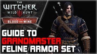 WITCHER 3 Grandmaster FELINE Armor Set GUIDE ► Diagrams Locations Crafting Stats Appearance [upl. by Boatwright]