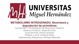 Lec033 Metabolismo nitrogenadoBiosíntesis y degradación de pirimidinas umh1700 20192020 [upl. by Gnes]