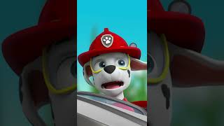 PAW Patrol  Marcus devient minuscule avec le rayon rétrécissant de Ryder et Rocky  Shorts [upl. by Tound844]