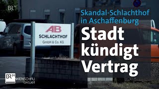 Nach Tierquälerei Stadt Aschaffenburg kündigt Vertrag mit Schlachthof  BR24 [upl. by Nnaynaffit]