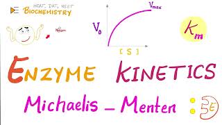 MichaelisMenten Equation amp Enzyme Kinetics  Biochemistry Series [upl. by Nomad]