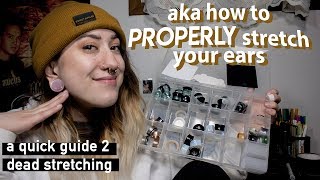 a 101 guide on stretched ears [upl. by Innek911]