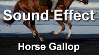 Horse Gallop Sound Effect YouTube [upl. by Nosilla899]