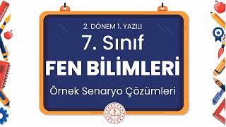 7 Sınıf Fen Bilimleri 2 Dönem 1 Yazılı Örnek Senaryo Çözümleri [upl. by Tareyn708]