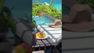 Fresh fruit sea breeze Antiguan sunshine and your private plunge pool at couples only resort [upl. by Noemys]