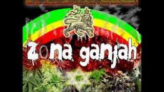 Zona Ganjah  Fumando Vamos A Casa  Sanazion 2007 [upl. by Odlopoel]