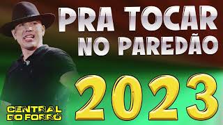 JAPÃOZINHO CD 2023  PRA TOCAR NO PAREDÃO  MÚSICAS NOVAS TOP [upl. by Arbmahs]