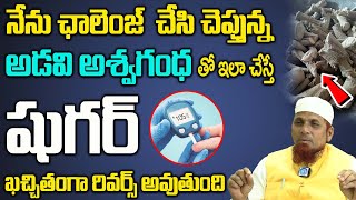 అడవి అశ్వగంధ తో ఇలా చేస్తే షుగర్ దెబ్బకు  Diabetic with Ashwagandha  DrJamhalKhan [upl. by Finer219]