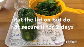 How to Ferment Cucumbers at Home  Naturally Fermenting Pickles Recipe [upl. by Nahte]