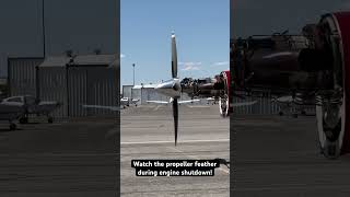 propeller feathering on a PC1247E during engine shutdown pilatus pc12 aviation pilot mechanic [upl. by Salaidh]