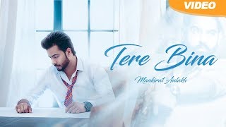 Tere Bina  Mankirt Aulakh feat Smayra  Full Official Video  PANJ AAB REELS [upl. by Zakaria]