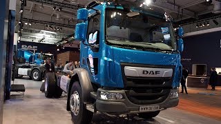 DAF LF 290 [upl. by Atterys]