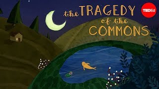 What is the tragedy of the commons  Nicholas Amendolare [upl. by Yliak]