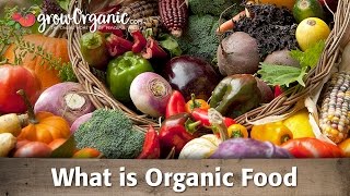 What is Organic Food [upl. by Aihk]