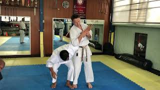 Bunkai  Saifa Kata Sequence 1 Henka Explanation [upl. by Doreen790]