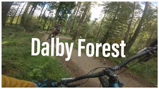 Crash  Dalby Forest Mountain Biking  Red Route [upl. by Tik]