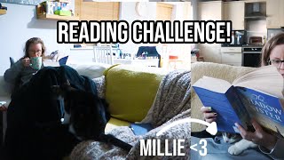 4 day reading challenge 4 hours every day [upl. by Dari]